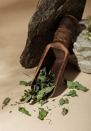 GDM Botanical Research